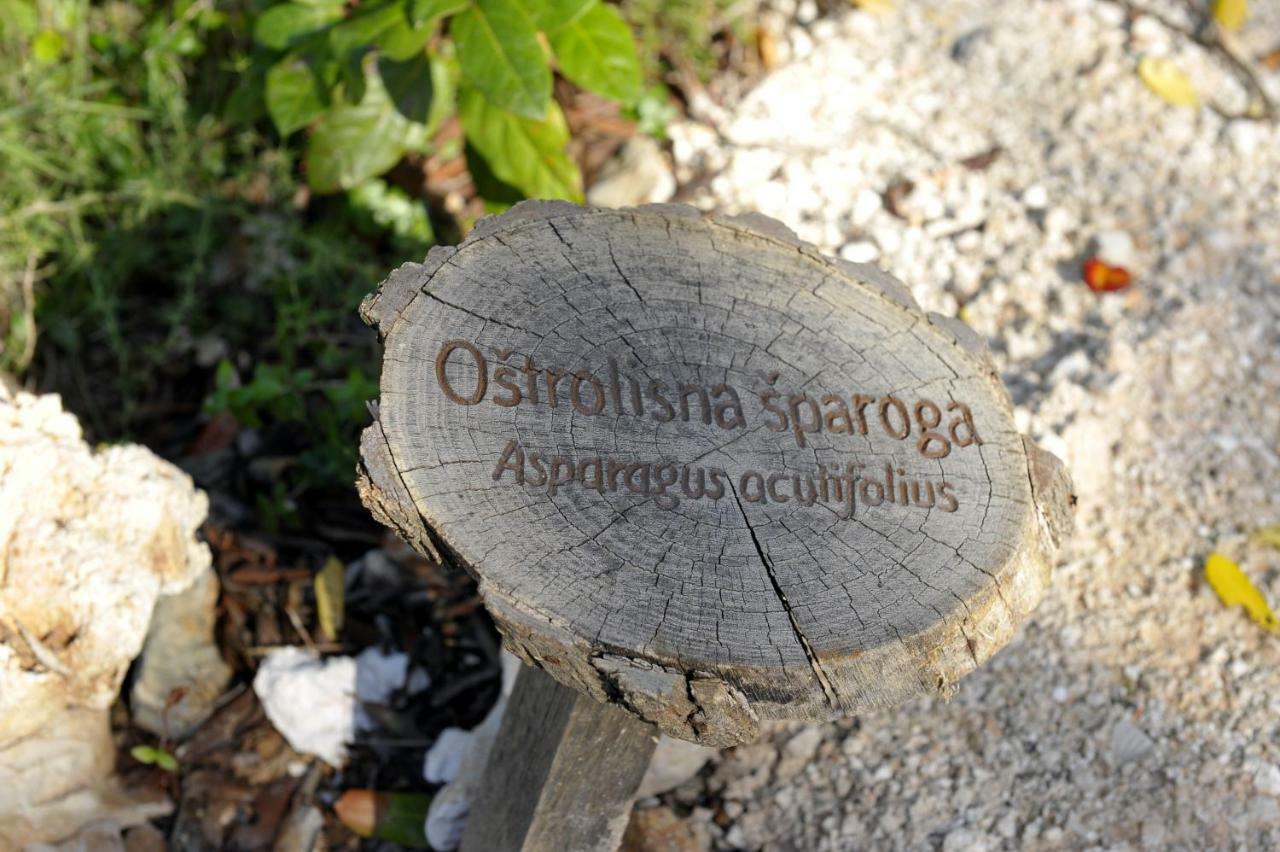 Вилла Grandpa Mate House Dragove Экстерьер фото